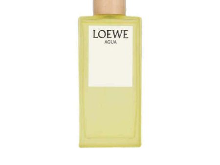 Women s Perfume Loewe EDT For Cheap