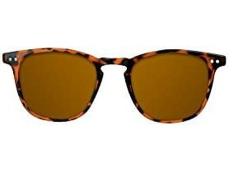 Unisex Sunglasses Northweek Wall Tortoise Brown Tortoise (Ø 45 mm) on Sale